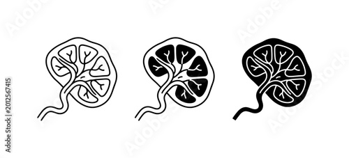 Fotografie Spleen Vector Icons, Medical Organ Illustrations, Lymphatic System Anatomy Graph