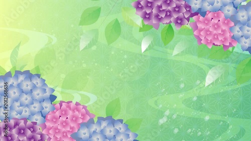 紫陽花梅雨背景