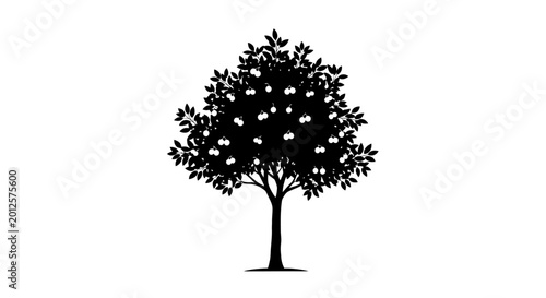 Fruit tree silhouette on white background high quality