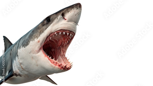Canvastavla Powerful shark with open mouth for marine wildlife nature and predatory sea crea