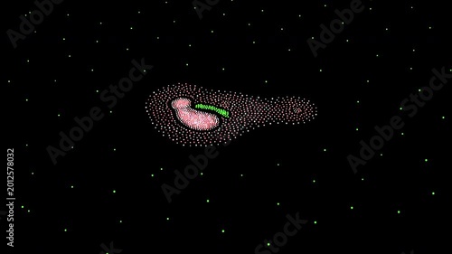 Bacterial Pathogen Infection on Cell
