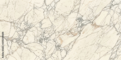 Tableau sur toile Intricate veining marble texture, showcasing the timeless elegance and sophisticated beauty of natural stone, exuding a luxurious aesthetic and refined surface detail