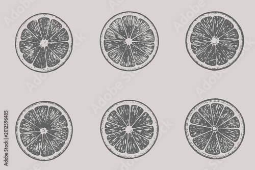 Photos Vintage Orange slice illustration