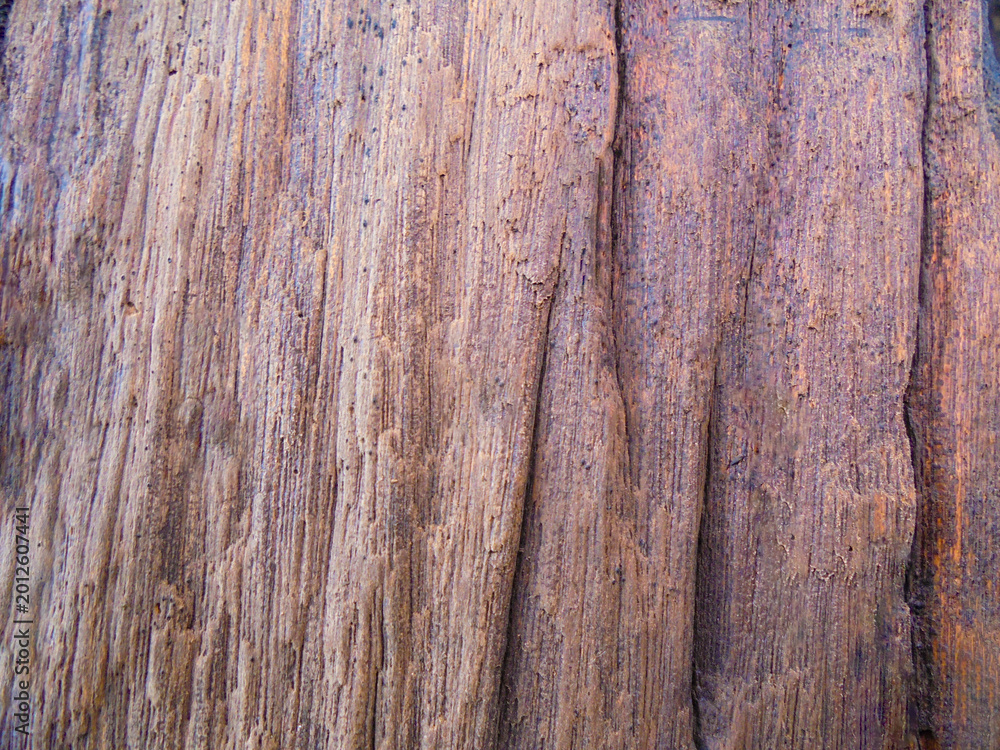 Obraz premium Rough Vertical Wood Texture with Brown and Purple Tones