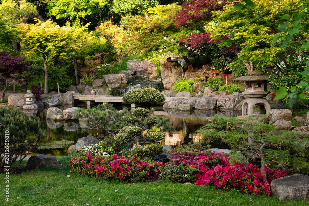 Fototapeta premium Spring Kyoto garden in Holland park, London, UK, April 29, 2026.