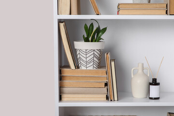 Shelving unit with books, houseplant and decor on white background