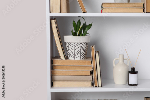 Obraz na plátně Shelving unit with books, houseplant and decor on white background