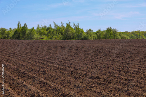 Bild auf Leinwand ​A vast plowed field with distinct furrows of fertile black soil stretches to the horizon under a light spring sky