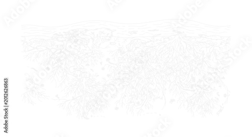 Obraz na plátně Abstract White Organic Pattern Background Texture