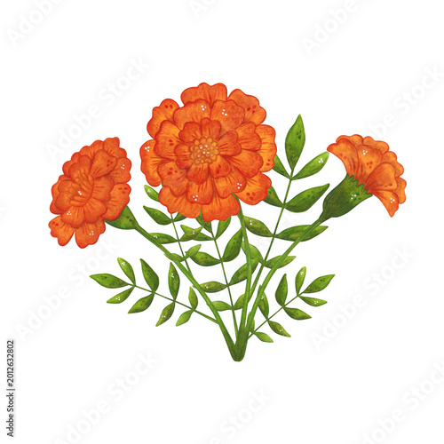An arrangement of red marigold flowers and leaves. Hand-drawn watercolor illustration, cartoon. Suitable for invitations, posters, cards, or prints. Summer, plants, flowers