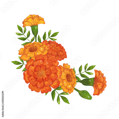 A corner arrangement of various marigold flowers with leaves. Hand-drawn watercolor illustration, cartoon. Suitable for invitations, posters, cards, or prints. Summer, plants, flowers