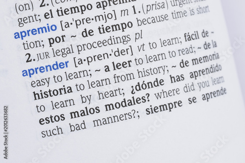 Bild auf Leinwand Spanish Dictionary Page Showing the Verb Aprender to Learn