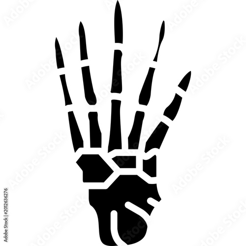 Billede på lærred Phalanges Vector Icon