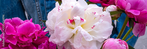 Foto Bright peonies with white and pink petals gathered in hands at a garden in sprin