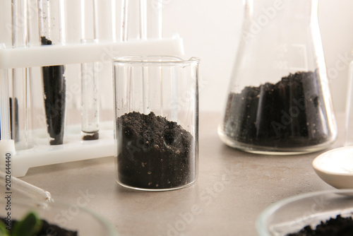 Flasks with soil on table in laboratory