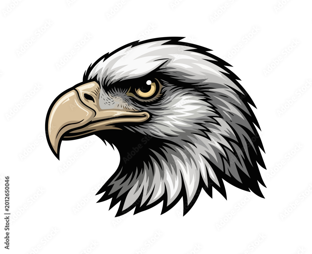Obraz premium Eagle head illustration portrait against dark background