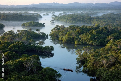 Dense tropical rainforest and winding river within Anavilhanas National Park, northern Brazil