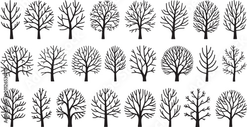 Slika na platnu Collection of twenty four different deciduous tree silhouettes without leaves for autumn or winter forest environment