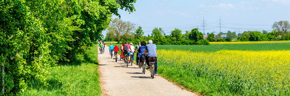 Obraz premium Cyclists riding on a path through green fields near trees on a sunny day