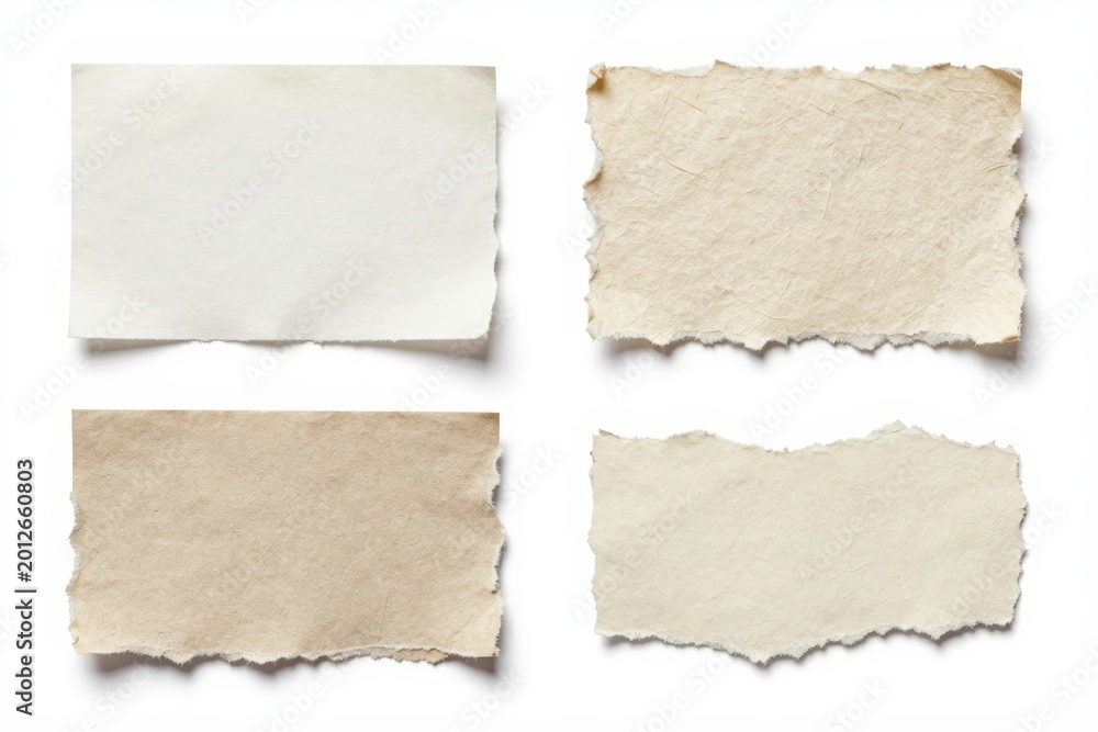 Fototapeta premium Torn pieces of paper on a white background displayed in a square layout with different textures