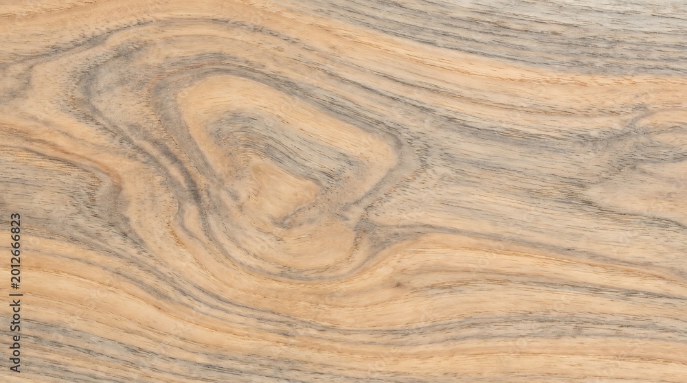 Fototapeta premium Abstract wood grain closeup in pale honey brown and stone grey, smooth flowing lines, natural material