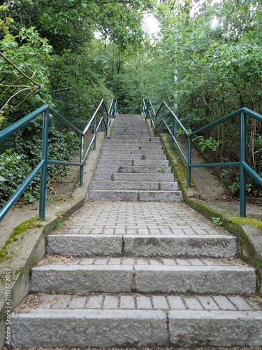 lonely park stairway with green trees