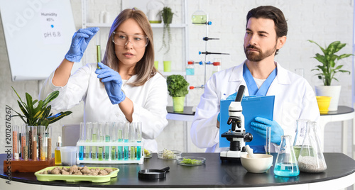 Agricultural engineers working with test tube in laboratory