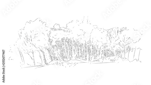 Tableau sur toile Dense forest thicket sketch with tall wild grass and woodland trees for nature background