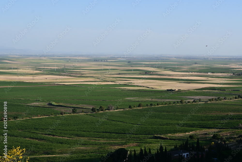 Fototapeta premium landscape with green fields in the south of spain