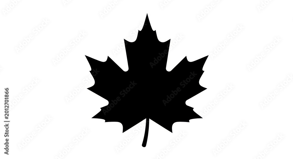 Fototapeta premium Black silhouette of maple leaf.