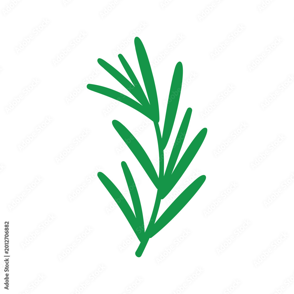 Obraz premium Illustration of a rosemary sprig with short green needles on a white background
