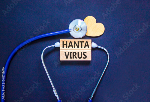 Obraz na plátně Hantavirus medical words symbol