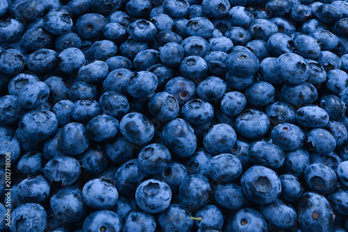 Fresh blueberry background. Texture blueberry berries close up.