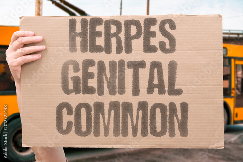 Photos "Herpes Genital Common" Genital herpes affects a substantial proportion of the global adult population
