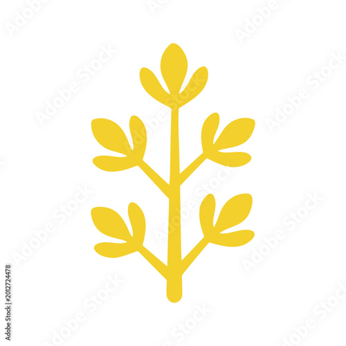 Stylized golden canola flower illustration on white background for decorative purposes