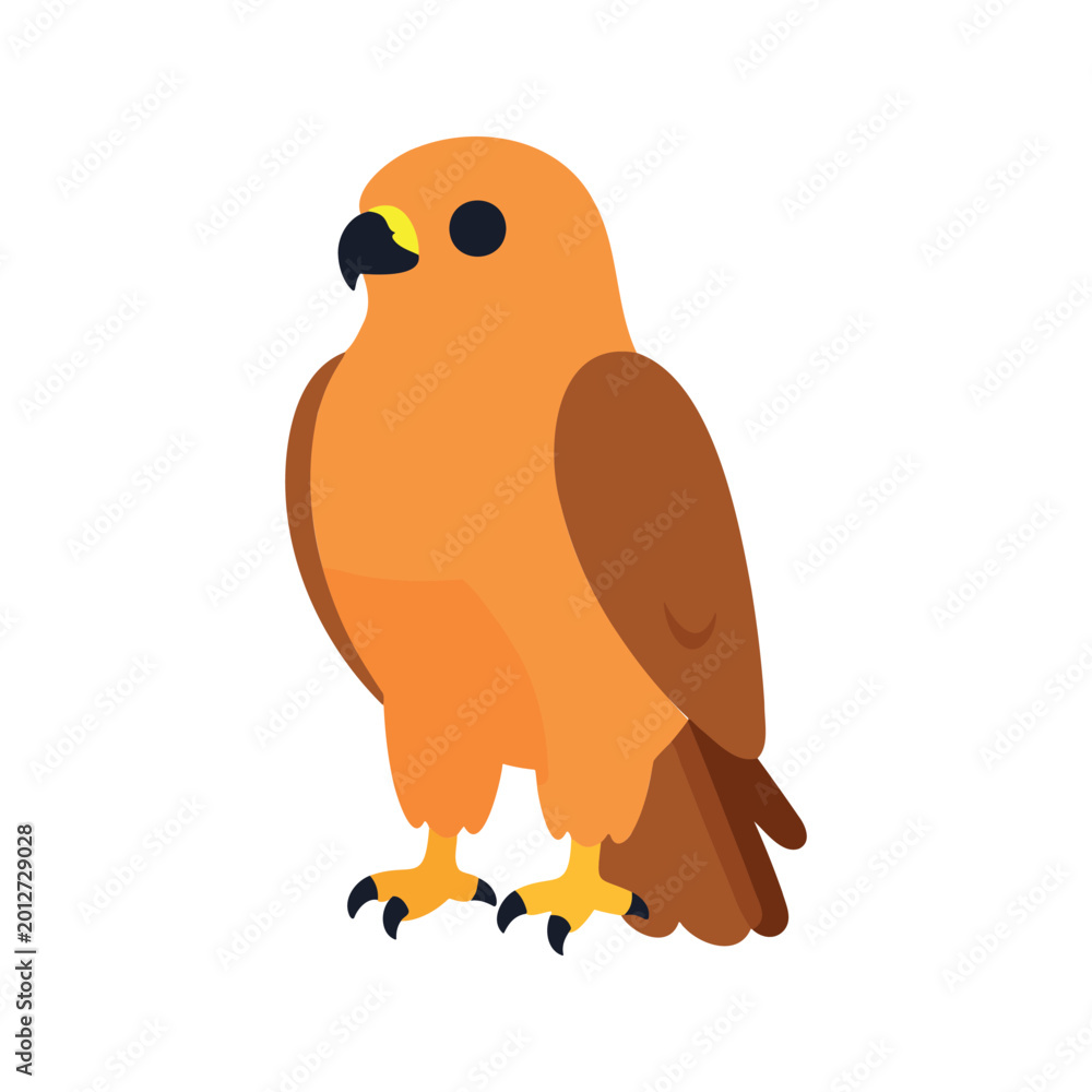 Fototapeta premium Falcon bird of prey stands with its feathers, and the bird has sharp talons for grasping and hunting smaller animals.