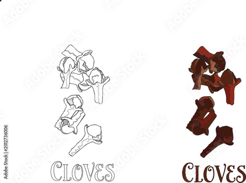Obraz na plátně CLOVES BUNDLE VECTOR