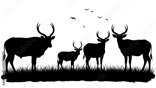 A silhouette of a herd of deer standing in tall grass against a clear sky with birds flying above