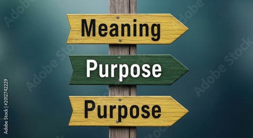 Wooden signpost with signs pointing in the same direction labeled meaning and purpose