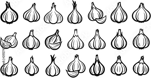 Cuadro en lienzo Black and White Line Art Vector Illustrations Set of Garlic Bulbs and Cloves for