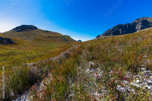 An amazing view on a perfect day over the Jonkershoek Nature Reserve located close to Stellenbosch in South Africa and home to the Jonkershoek Mountains and the impressiv valley. The reserve includes 