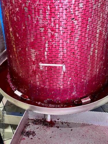 Close-up view of Barbera grapes being gently pressed, with rich red juice flowing through the wine press