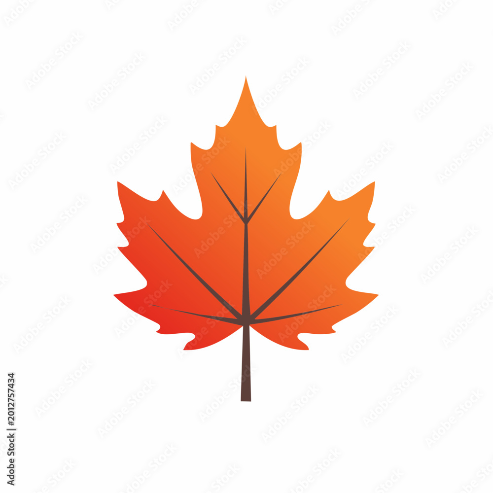 Fototapeta premium Autumn Maple Leaf Icon