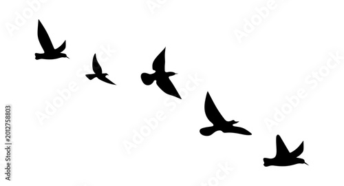 Canvas Print flock of birds vector illustration