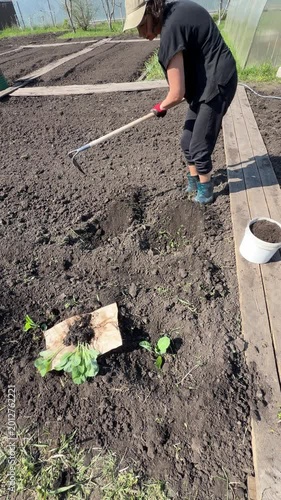 Gardener preparing soil for planting
