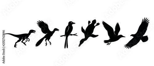 Billede på lærred Evolution of Birds from Dinosaurs Silhouette Set, showcasing biological transiti