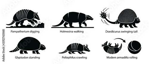 Foto Prehistoric Armadillo Species Silhouette Collection Set, Ancient Glyptodontidae