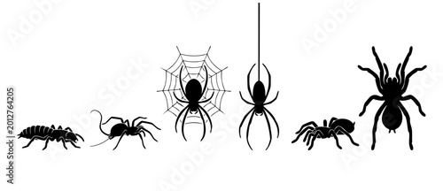 Bild auf Leinwand Spider silhouette collection isolated on white background, black arachnid icons set including web and hanging spiders for Halloween design elements, insect study and creepy horror graphic decor style
