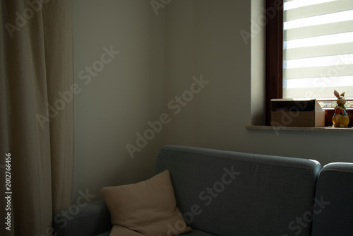 Minimalist living room interior with cozy blue sofa and soft natural light from window