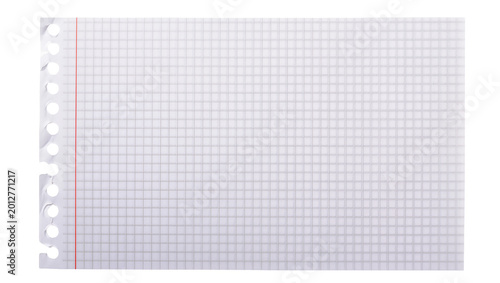 Tableau sur toile Torn graph paper sheet with red margin line and punched holes, isolated on trans